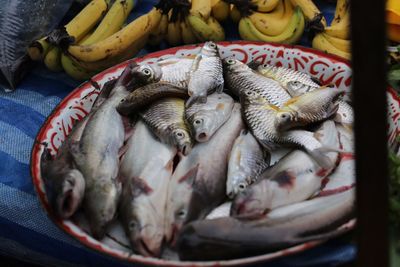 Close-up of fish for sale