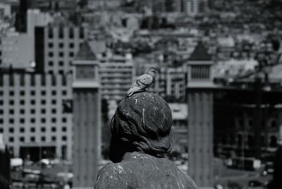 Rear view of statue against buildings in city