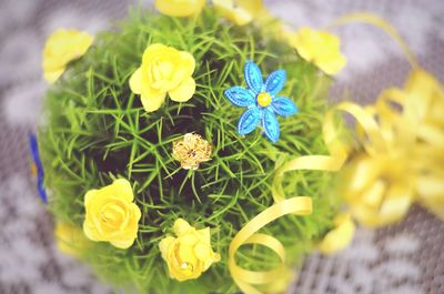 Close-up of yellow flowers blooming outdoors