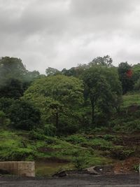 Scenic view of forest against sky