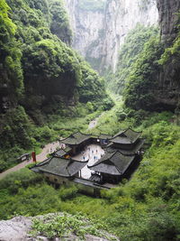 High angle view of trees and buildings in forest