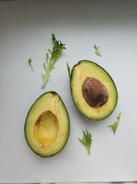 Directly above shot of fruits against white background