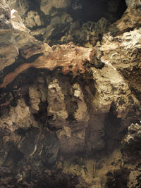 Full frame shot of rock formation