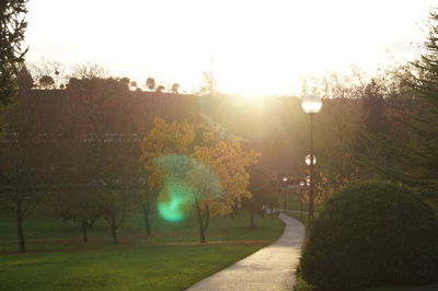 Scenic view of trees against sky during sunset