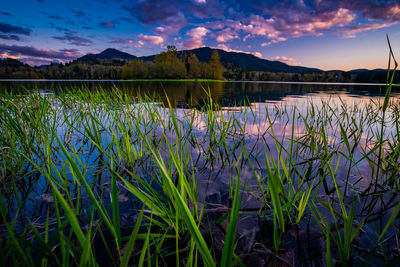 Scenic view of lake against sky