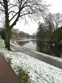 River amidst bare trees against sky