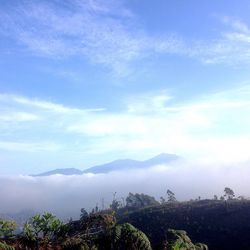 Scenic view of landscape against sky