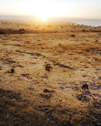Scenic view of landscape against sky during sunset