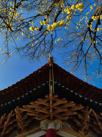 Low angle view of trees and building against sky