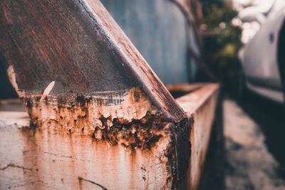 Close-up of rusty wood on tree trunk