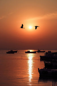 Silhouette birds flying over sea against sky during sunset
