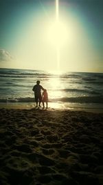 Scenic view of beach at sunset