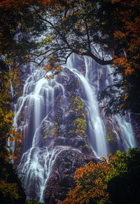 Low angle view of waterfall in forest