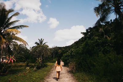 Rear view of woman walking on palm trees against sky