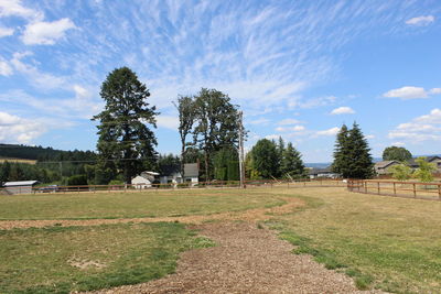 Trees on field against sky