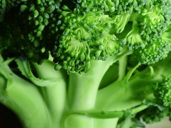 Full frame shot of broccoli