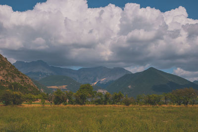 environment