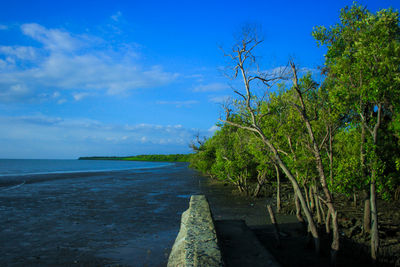 Scenic view of sea against blue sky