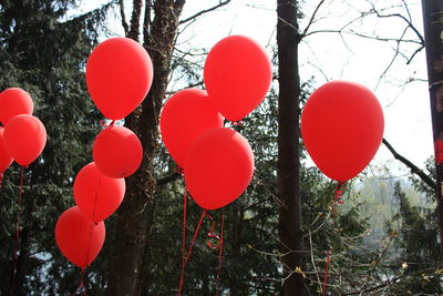 Low angle view of balloons against trees