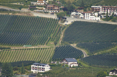 High angle view of buildings and agricultural field