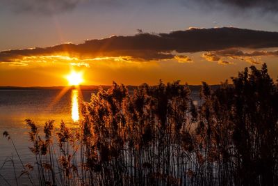 Scenic view of lake against sky at sunset