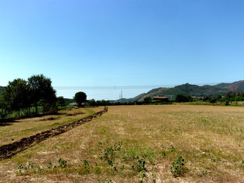 Scenic view of field against clear blue sky