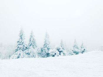 Trees on snow covered landscape against clear sky