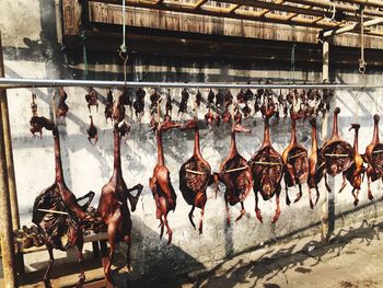 Roasted ducks hanging by wall at market stall