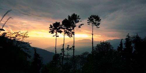 Silhouette trees against sky during sunset