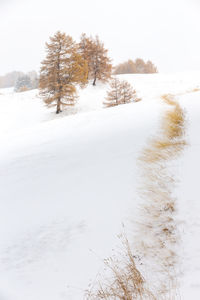 Scenic view of snow covered land against sky