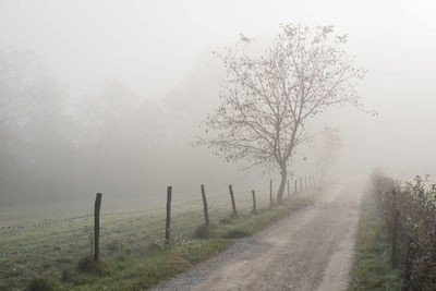 Road passing through field in foggy weather