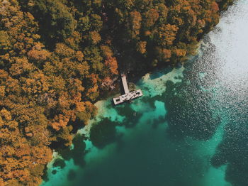 High angle view of trees by sea