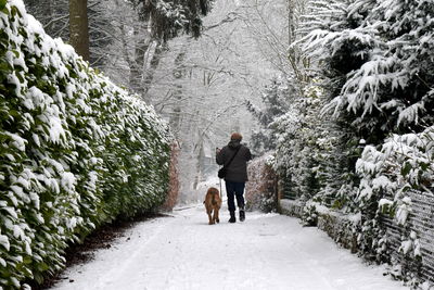 Rear view full length of person walking with dog amidst trees during winter