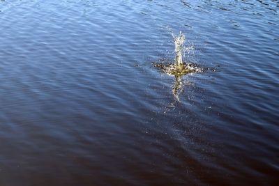 High angle view of rippled water in sea