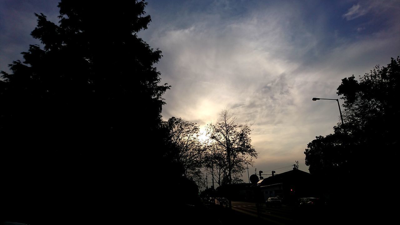 SILHOUETTE TREES BY HOUSE AGAINST SKY