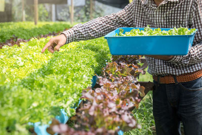 Midsection of man standing by plants