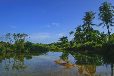 Scenic view of lake against blue sky