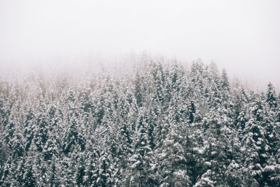 View of snow covered landscape against sky