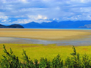 Scenic view of landscape against sky