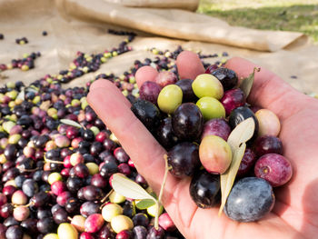 High angle view of hand holding grapes