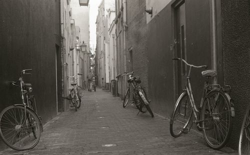 Bicycles in city