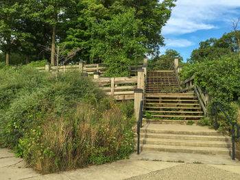 Steps and trees against sky