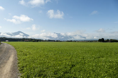 landscape