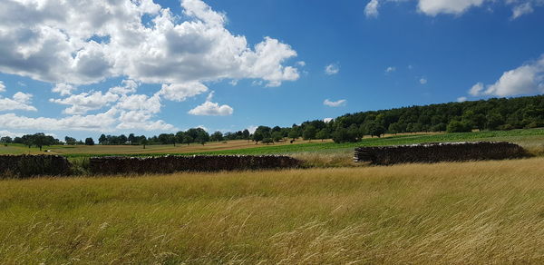 Scenic view of field against sky