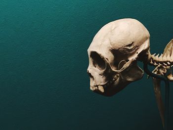 Close-up of human skull against green wall