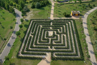 High angle view of agricultural field