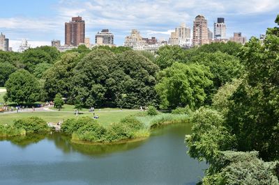 Panoramic view of trees and buildings against sky