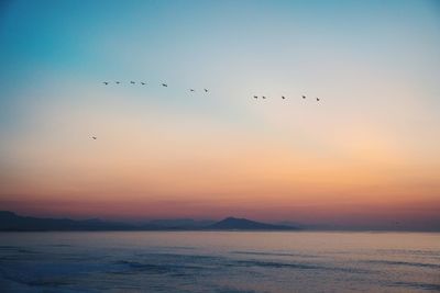 Flock of birds flying over sea at sunset