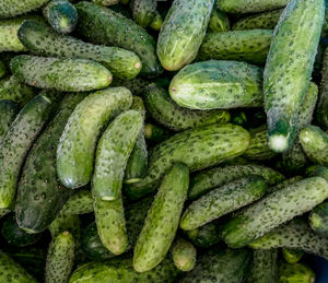 Close-up of bananas