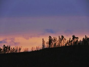 Silhouette trees in forest against sky at sunset